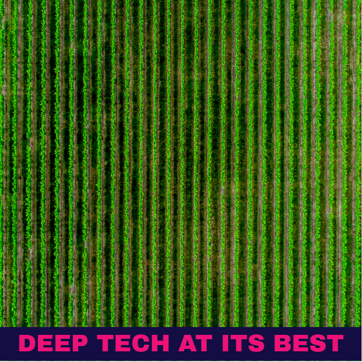 AI Weed Targeting crop rows 